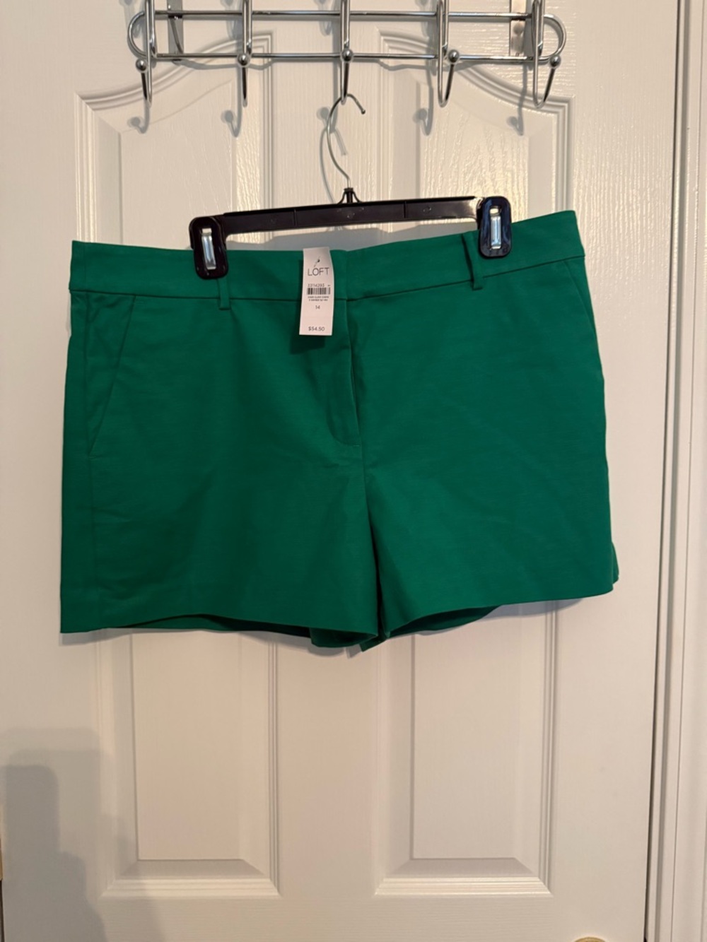 LOFT Women's Green Riviera Shorts